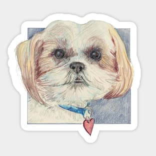 JoJo, the sweetest small dog Sticker